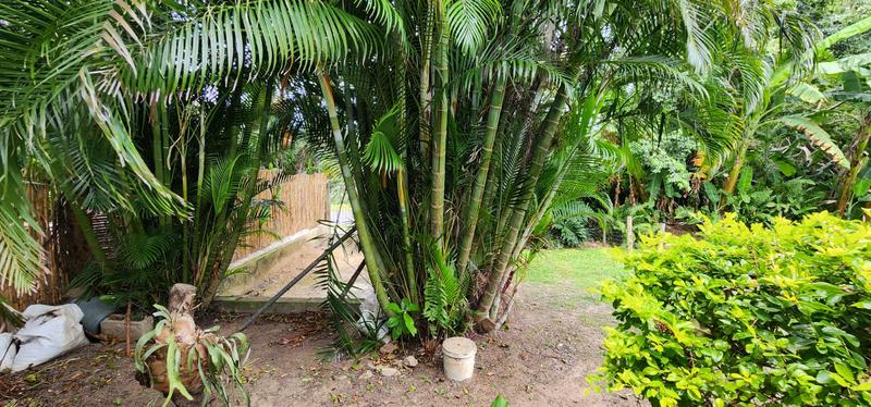 To Let 1 Bedroom Property for Rent in Widenham KwaZulu-Natal