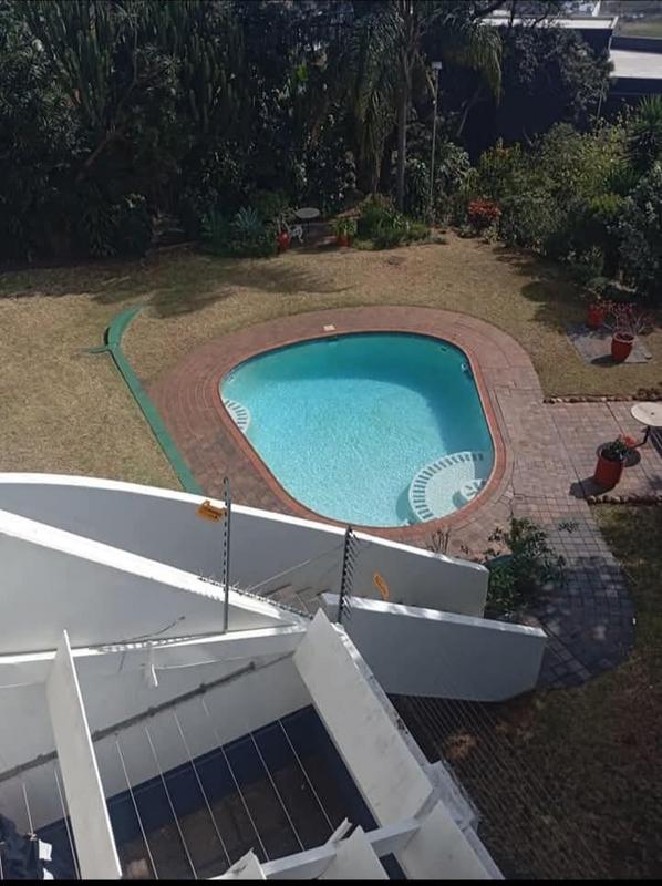 To Let 3 Bedroom Property for Rent in Musgrave KwaZulu-Natal