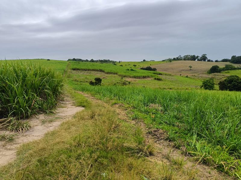 0 Bedroom Property for Sale in Ballito KwaZulu-Natal