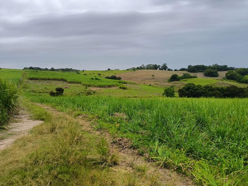 0 Bedroom Property for Sale in Ballito KwaZulu-Natal