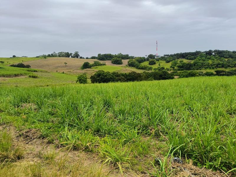 0 Bedroom Property for Sale in Ballito KwaZulu-Natal