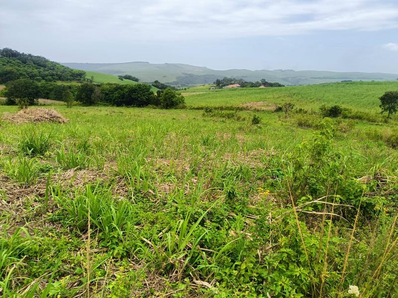 0 Bedroom Property for Sale in Ballito KwaZulu-Natal