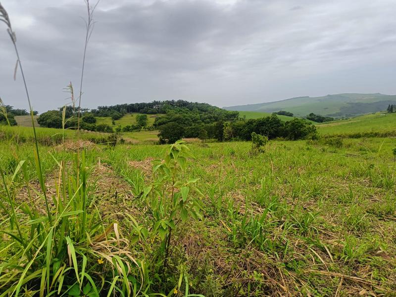 0 Bedroom Property for Sale in Ballito KwaZulu-Natal