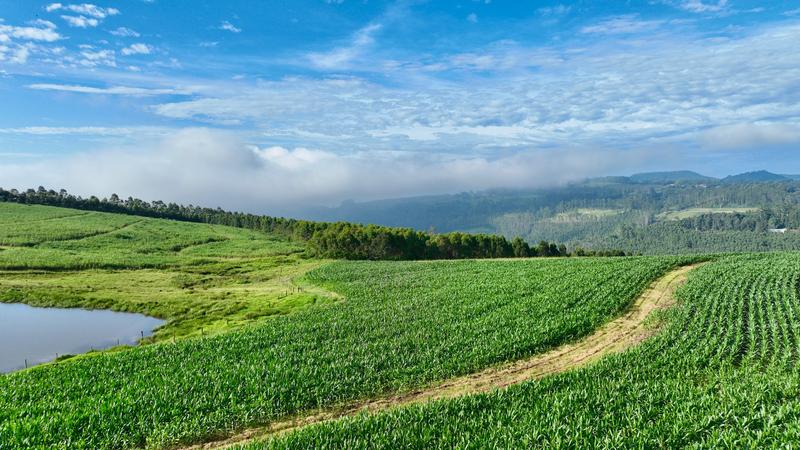 0 Bedroom Property for Sale in Mount Verde KwaZulu-Natal