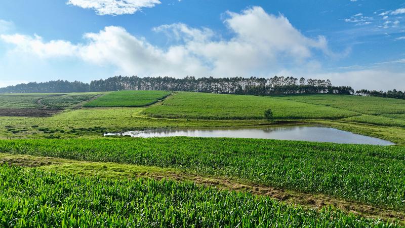 0 Bedroom Property for Sale in Mount Verde KwaZulu-Natal