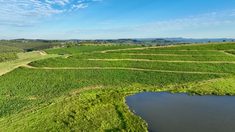 0 Bedroom Property for Sale in Mount Verde KwaZulu-Natal