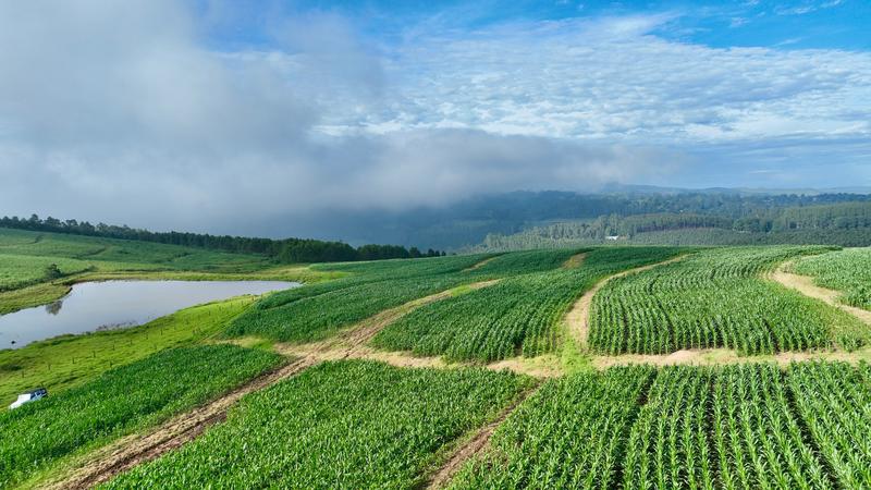 0 Bedroom Property for Sale in Mount Verde KwaZulu-Natal