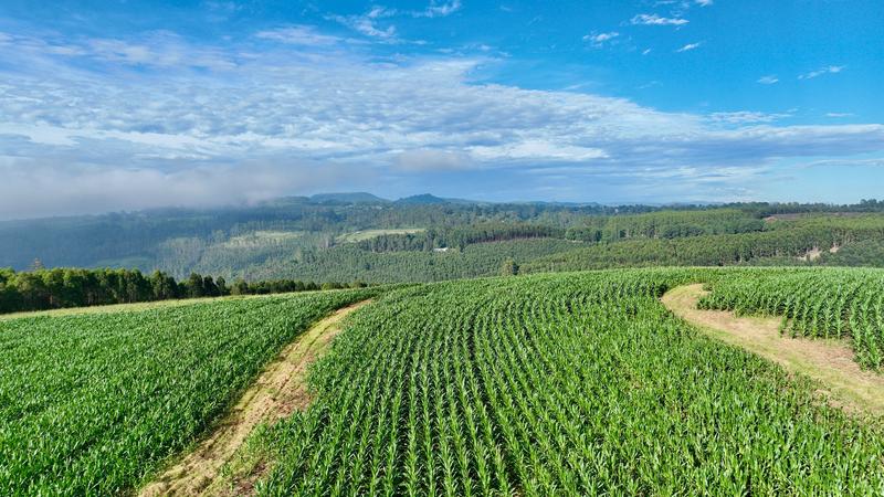 0 Bedroom Property for Sale in Mount Verde KwaZulu-Natal