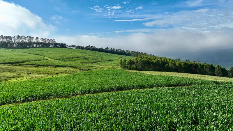 0 Bedroom Property for Sale in Mount Verde KwaZulu-Natal