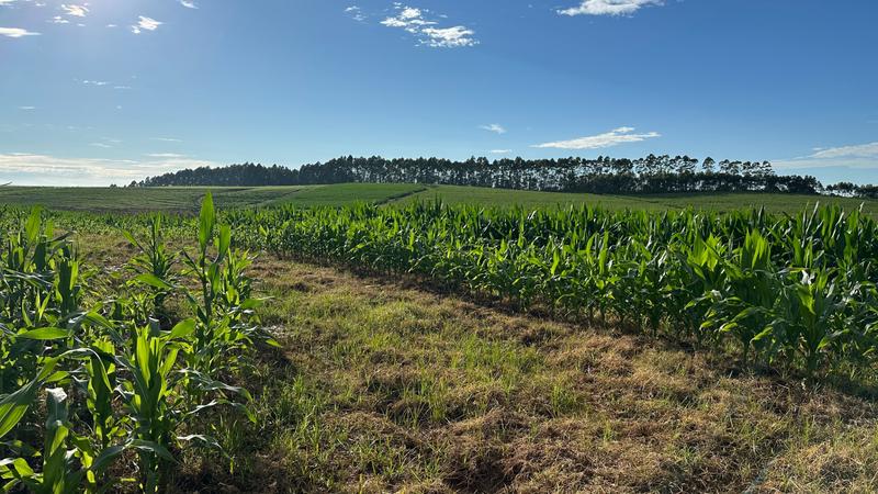 0 Bedroom Property for Sale in Mount Verde KwaZulu-Natal