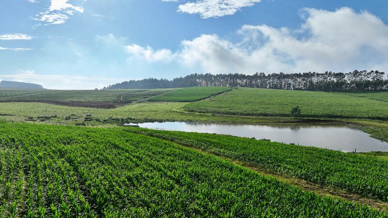 0 Bedroom Property for Sale in Mount Verde KwaZulu-Natal