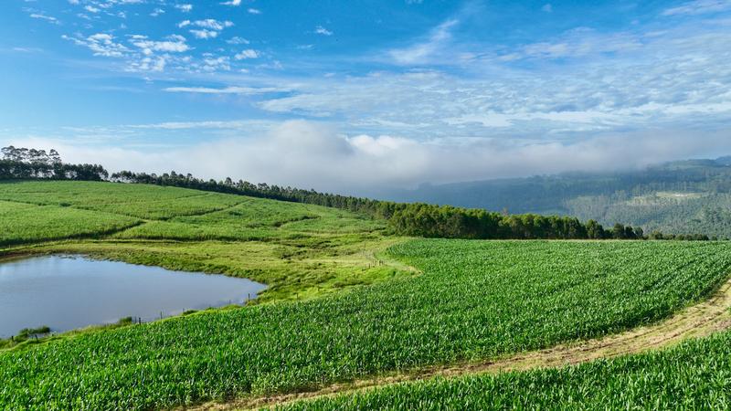 0 Bedroom Property for Sale in Mount Verde KwaZulu-Natal