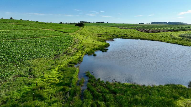 0 Bedroom Property for Sale in Mount Verde KwaZulu-Natal