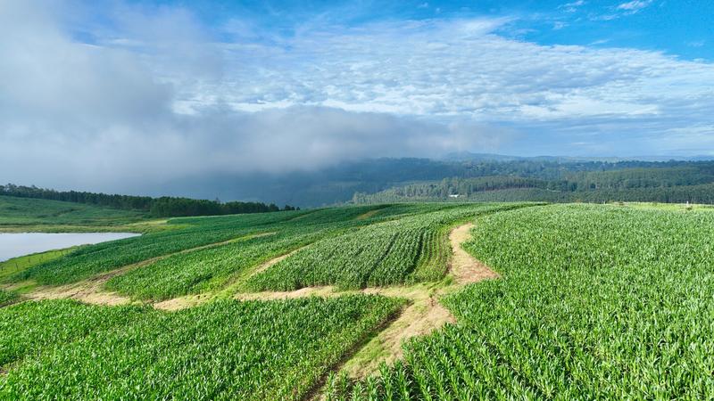 0 Bedroom Property for Sale in Mount Verde KwaZulu-Natal