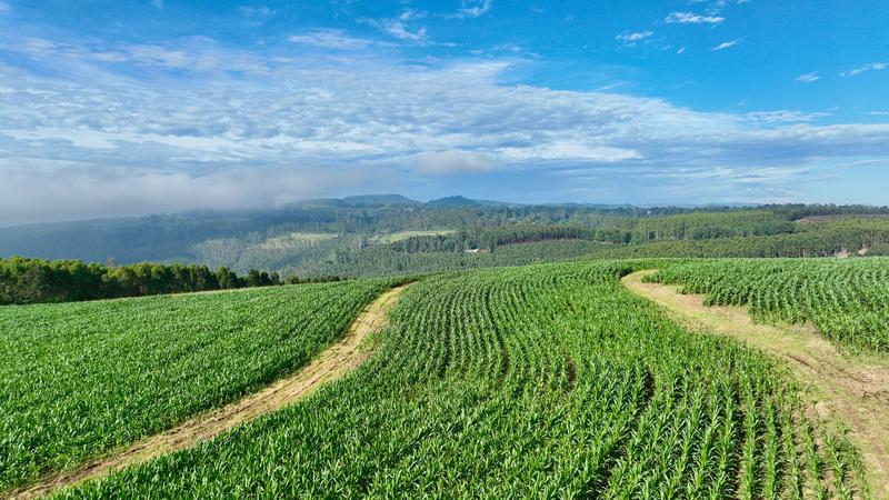 0 Bedroom Property for Sale in Mount Verde KwaZulu-Natal