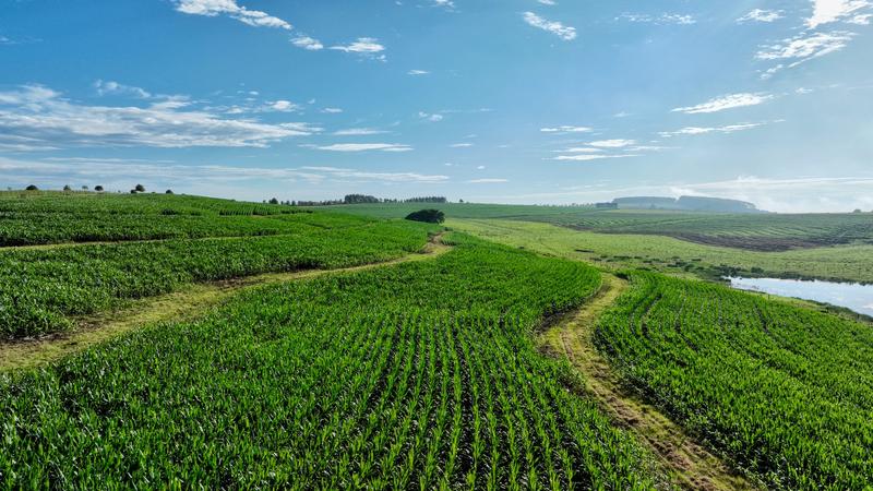 0 Bedroom Property for Sale in Mount Verde KwaZulu-Natal