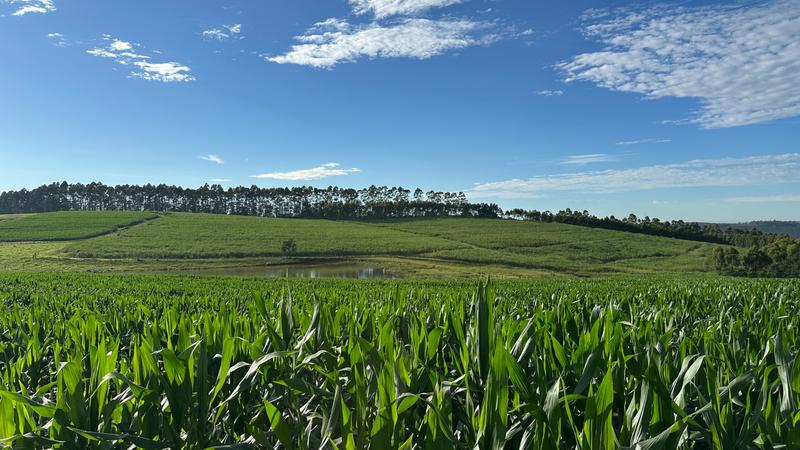 0 Bedroom Property for Sale in Mount Verde KwaZulu-Natal