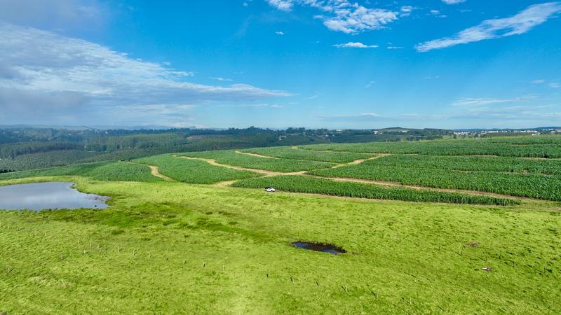 0 Bedroom Property for Sale in Mount Verde KwaZulu-Natal