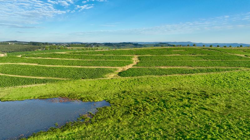 0 Bedroom Property for Sale in Mount Verde KwaZulu-Natal