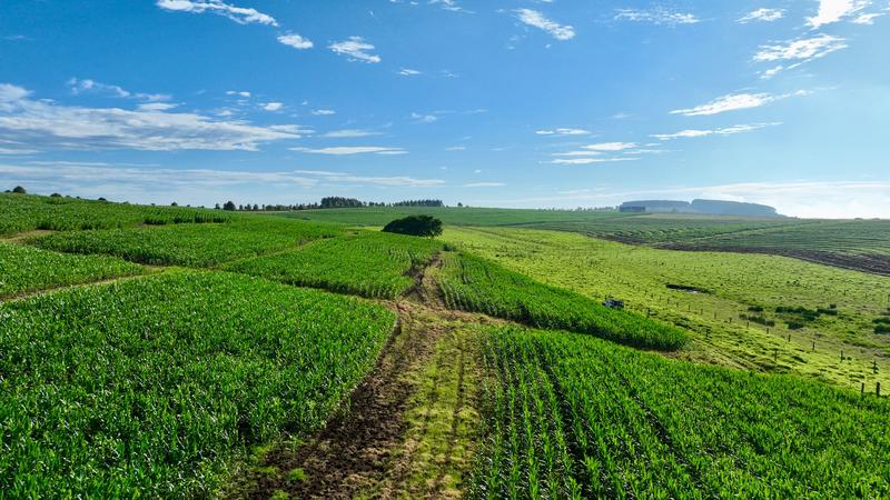 0 Bedroom Property for Sale in Mount Verde KwaZulu-Natal