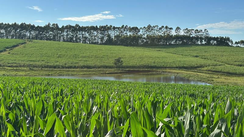 0 Bedroom Property for Sale in Mount Verde KwaZulu-Natal