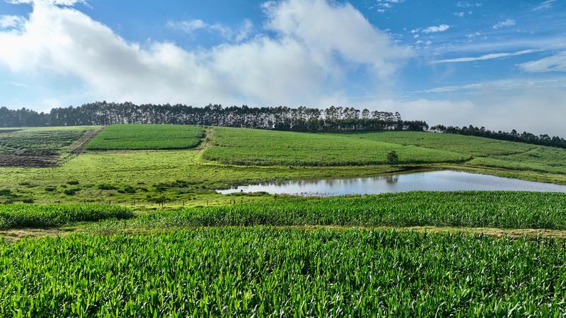 0 Bedroom Property for Sale in Mount Verde KwaZulu-Natal