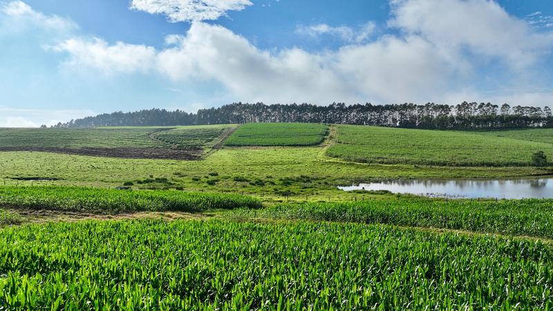 0 Bedroom Property for Sale in Mount Verde KwaZulu-Natal