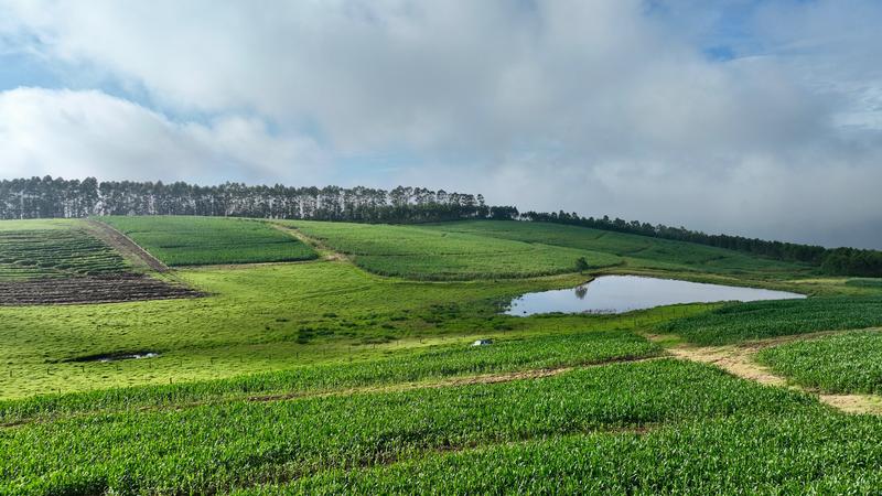 0 Bedroom Property for Sale in Mount Verde KwaZulu-Natal