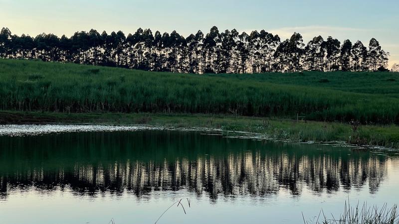 0 Bedroom Property for Sale in Mount Verde KwaZulu-Natal