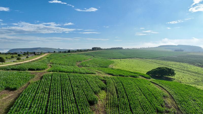 0 Bedroom Property for Sale in Mount Verde KwaZulu-Natal