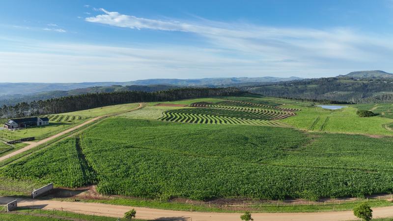 0 Bedroom Property for Sale in Mount Verde KwaZulu-Natal