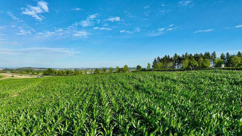 0 Bedroom Property for Sale in Mount Verde KwaZulu-Natal