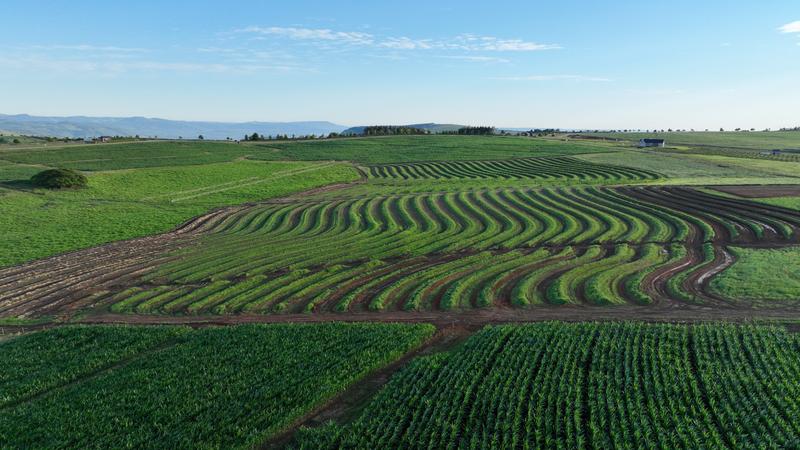 0 Bedroom Property for Sale in Mount Verde KwaZulu-Natal