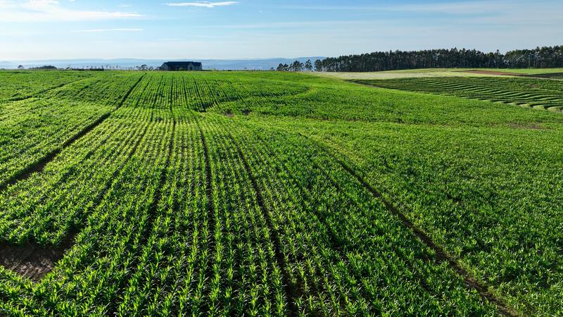 0 Bedroom Property for Sale in Mount Verde KwaZulu-Natal