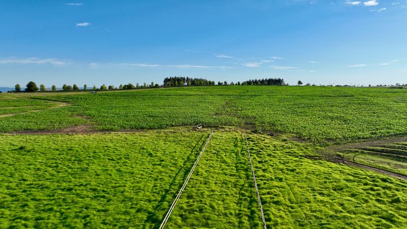 0 Bedroom Property for Sale in Mount Verde KwaZulu-Natal