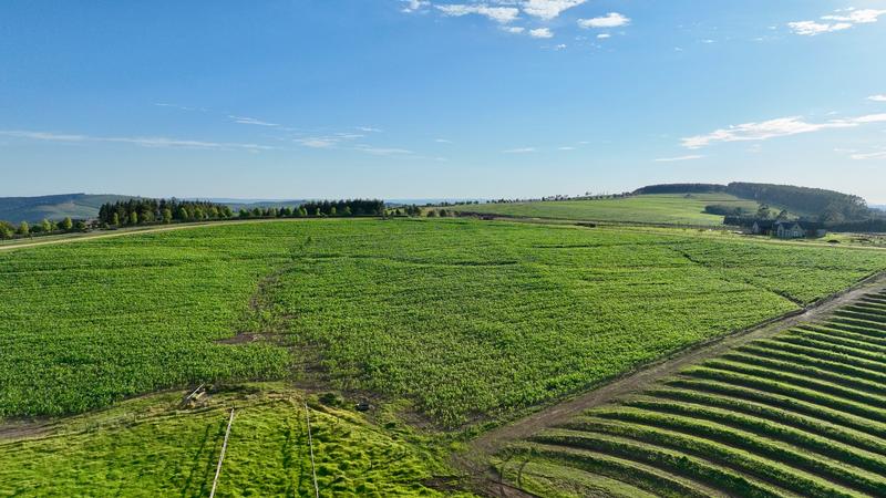 0 Bedroom Property for Sale in Mount Verde KwaZulu-Natal