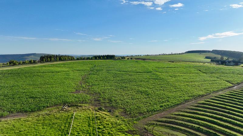 0 Bedroom Property for Sale in Mount Verde KwaZulu-Natal