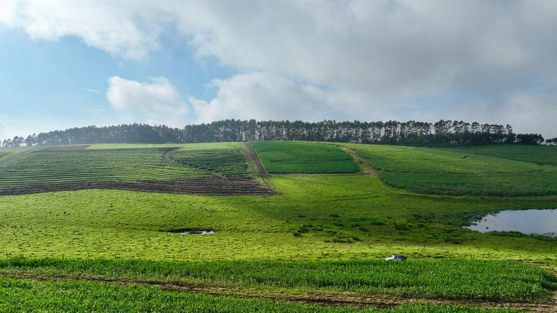 0 Bedroom Property for Sale in Mount Verde KwaZulu-Natal