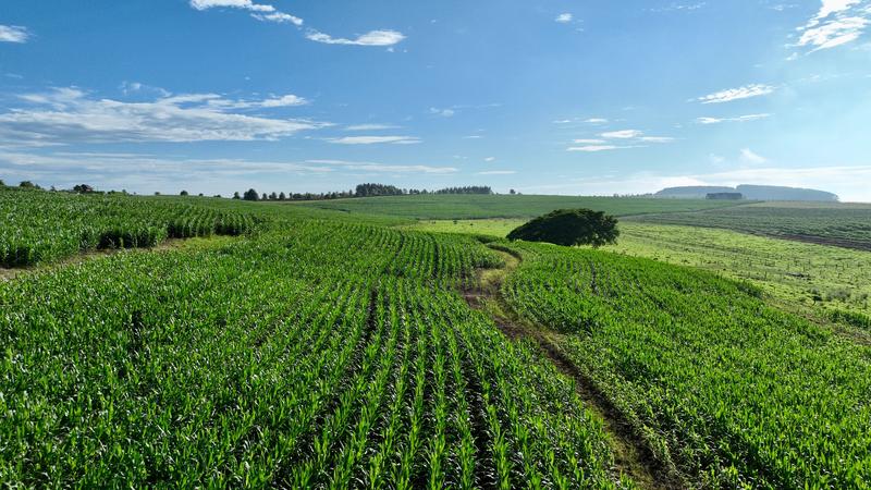 0 Bedroom Property for Sale in Mount Verde KwaZulu-Natal