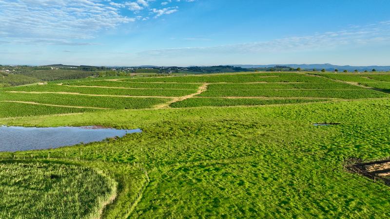 0 Bedroom Property for Sale in Mount Verde KwaZulu-Natal