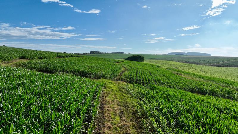 0 Bedroom Property for Sale in Mount Verde KwaZulu-Natal