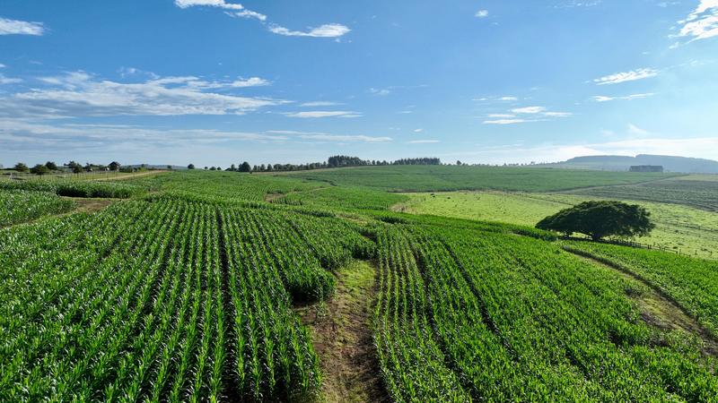 0 Bedroom Property for Sale in Mount Verde KwaZulu-Natal