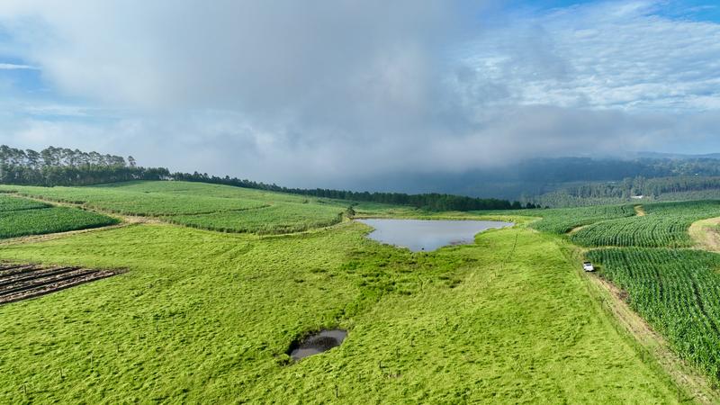 0 Bedroom Property for Sale in Mount Verde KwaZulu-Natal