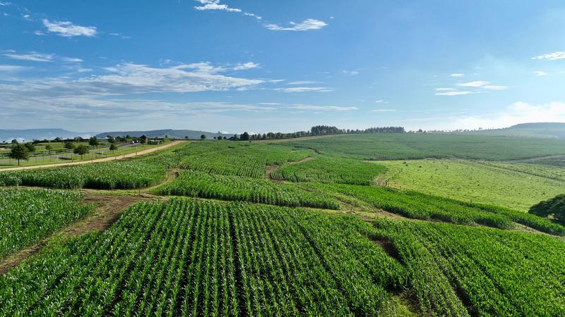 0 Bedroom Property for Sale in Mount Verde KwaZulu-Natal