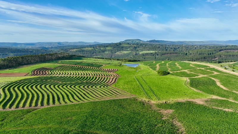 0 Bedroom Property for Sale in Mount Verde KwaZulu-Natal