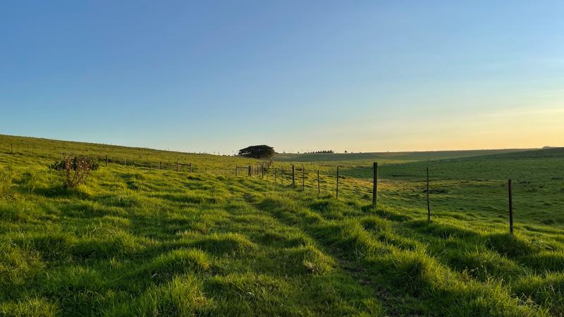 0 Bedroom Property for Sale in Mount Verde KwaZulu-Natal