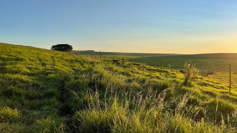 0 Bedroom Property for Sale in Mount Verde KwaZulu-Natal