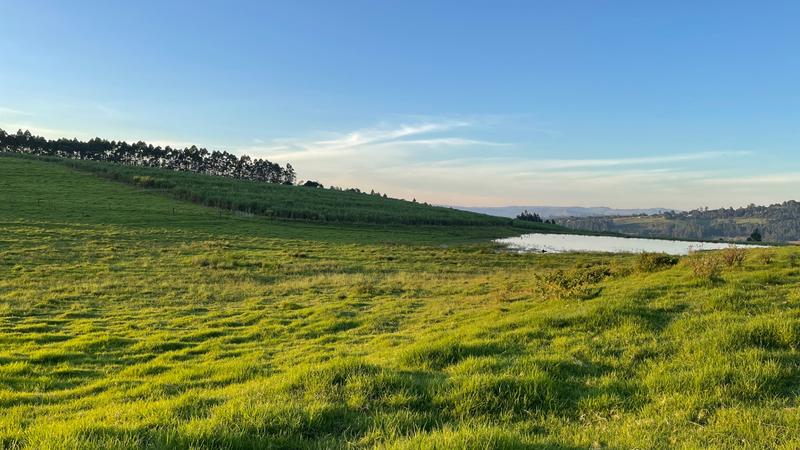 0 Bedroom Property for Sale in Mount Verde KwaZulu-Natal