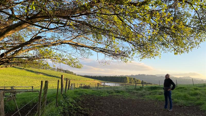 0 Bedroom Property for Sale in Mount Verde KwaZulu-Natal