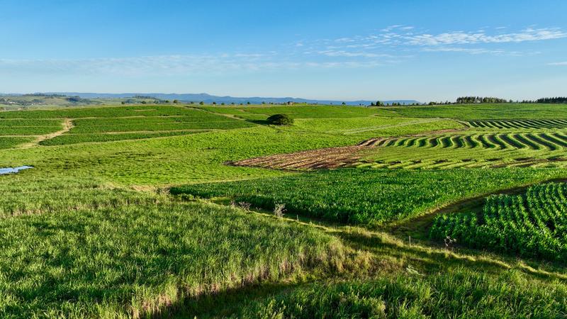 0 Bedroom Property for Sale in Mount Verde KwaZulu-Natal